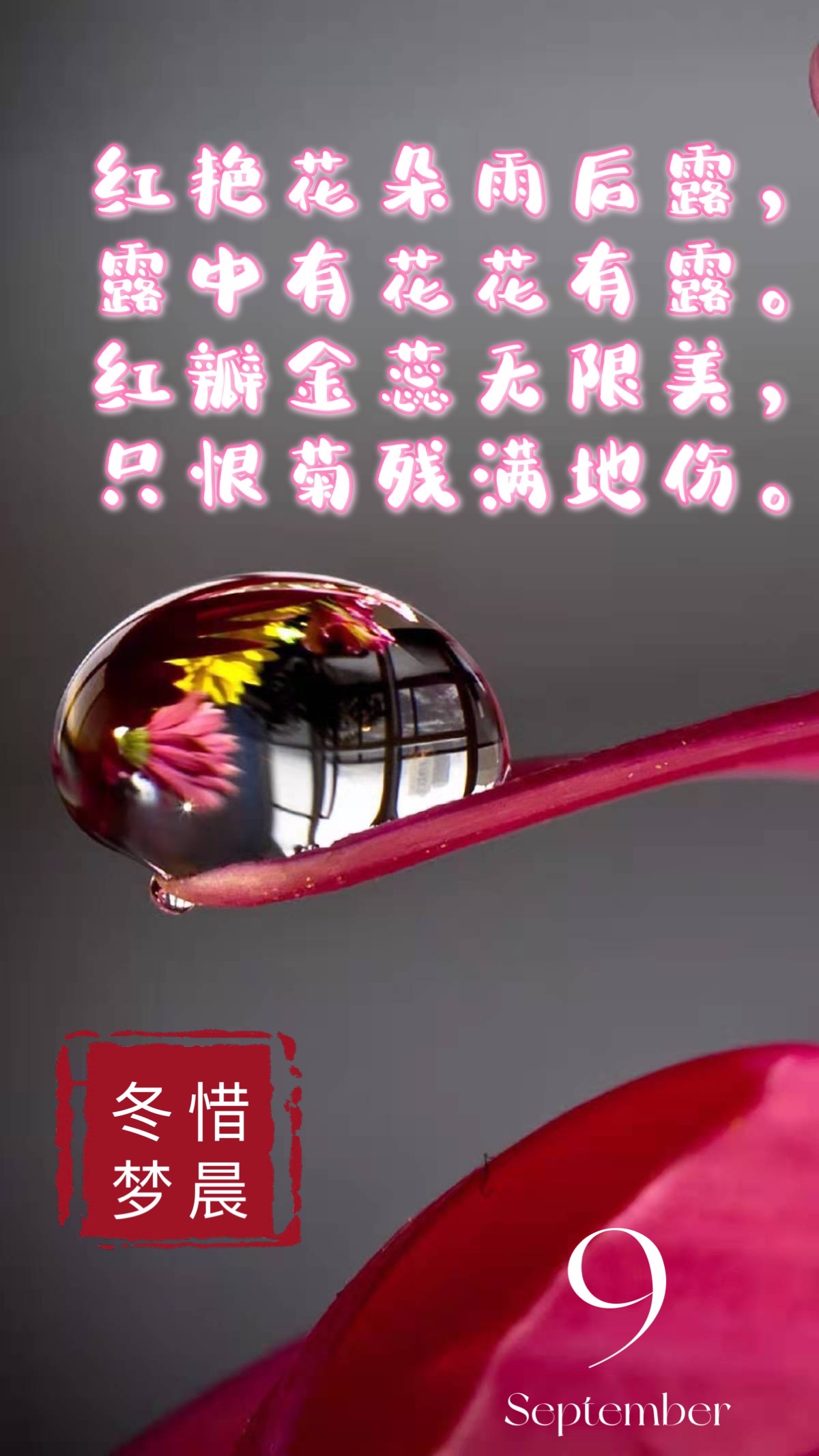 水露银花