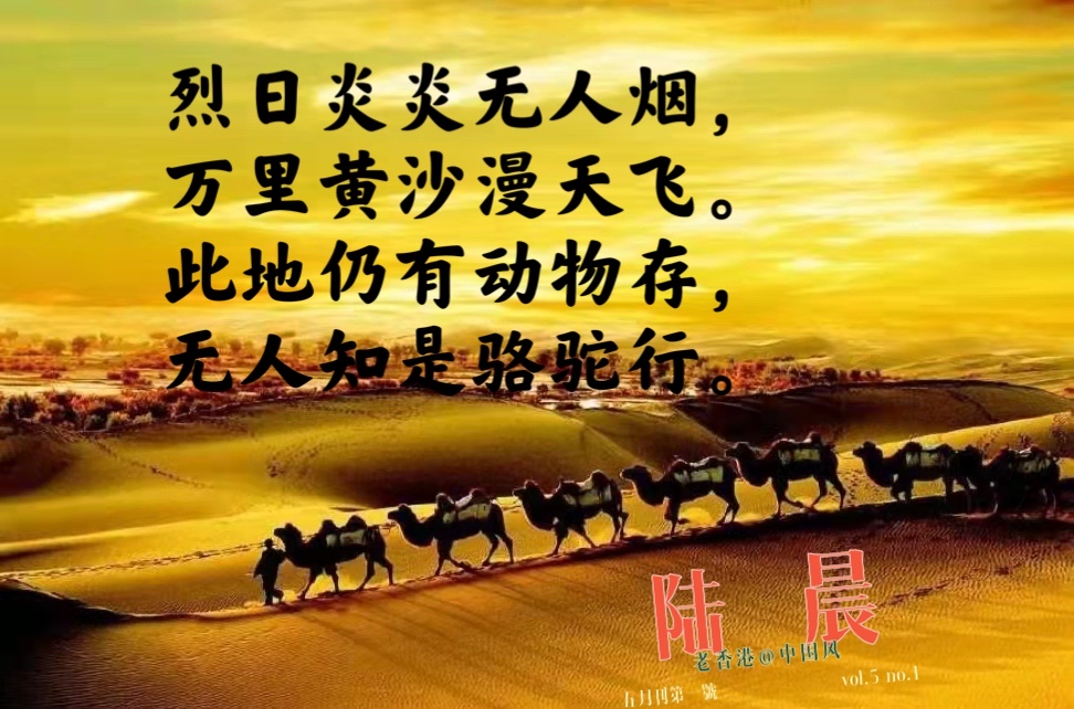 沙雾