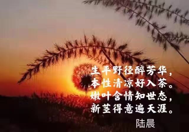 黎明