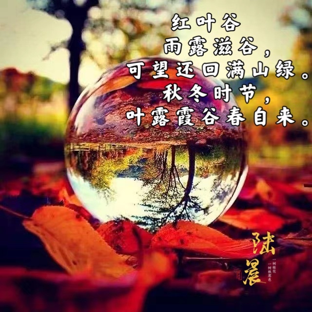 红叶谷