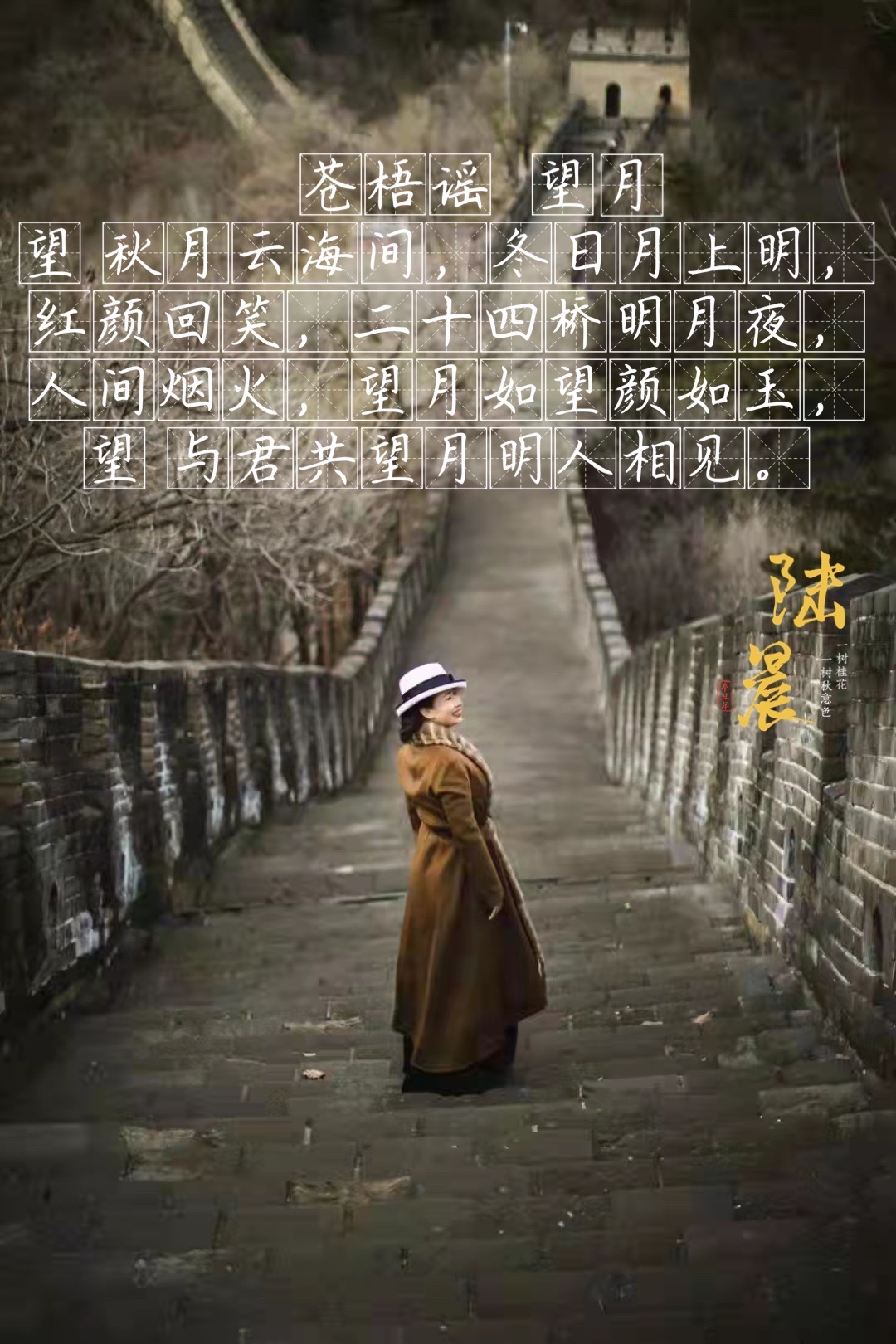 望月