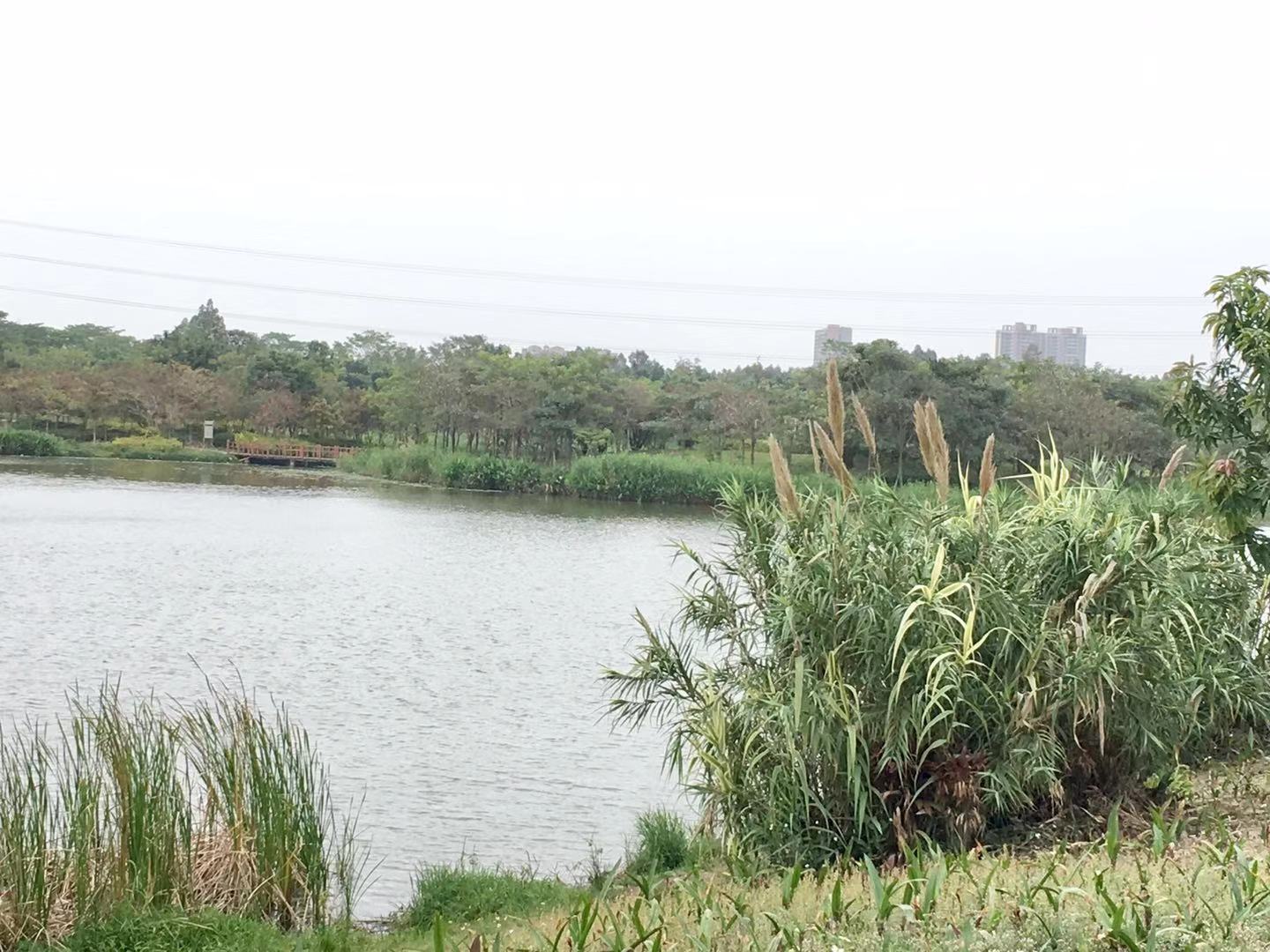 时光如水,乡愁如歌