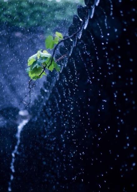暴雨